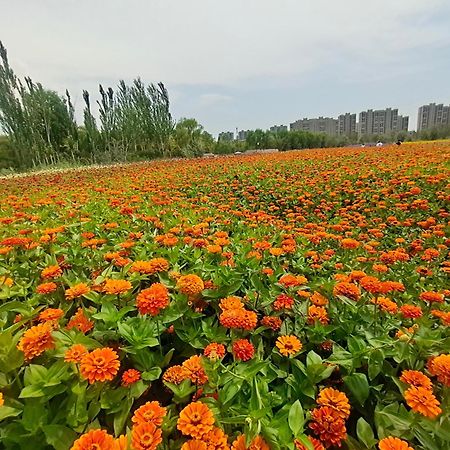 Primus Hotel Yinchuan Buitenkant foto