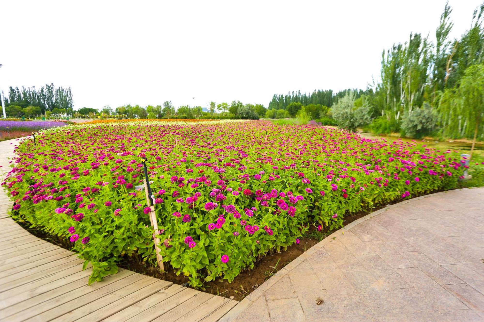 Primus Hotel Yinchuan Buitenkant foto