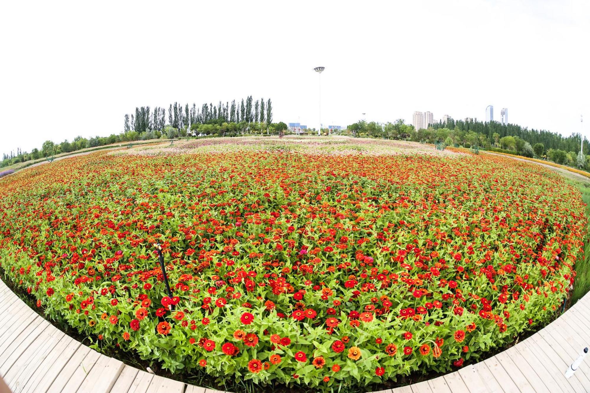 Primus Hotel Yinchuan Buitenkant foto