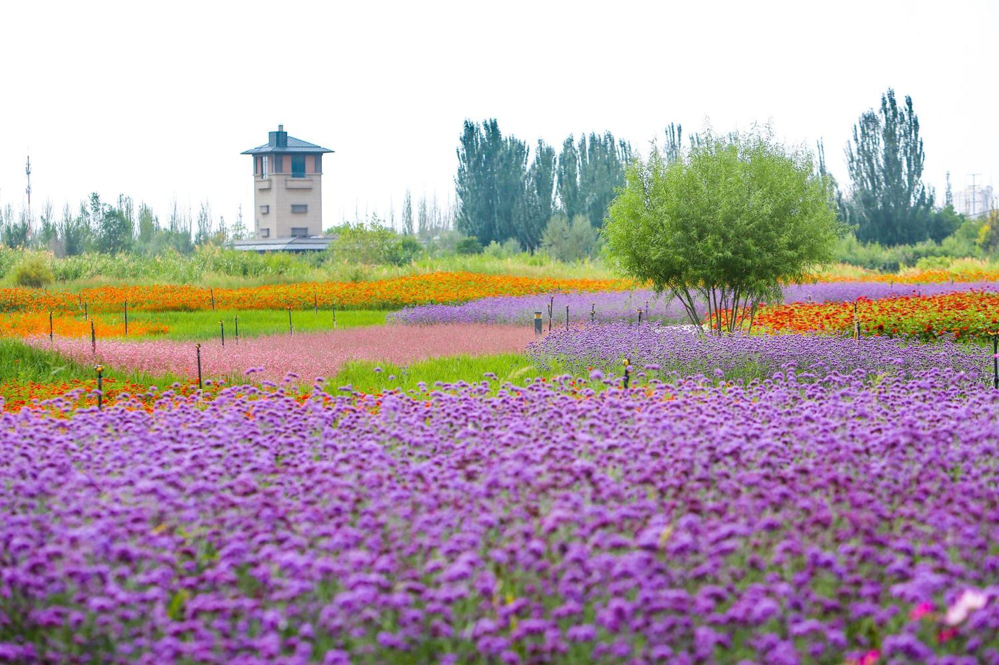 Primus Hotel Yinchuan Buitenkant foto